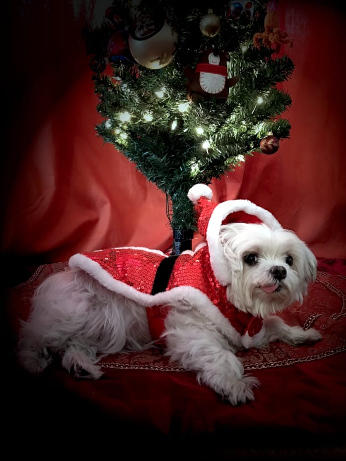 My 2025 Christmas Gift to Myself (It Ain't a Stocking)