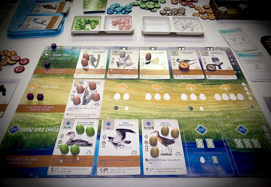 A wingspan game mat complete with 9 bird cards, a few cached food tokes, and 16 eggs.