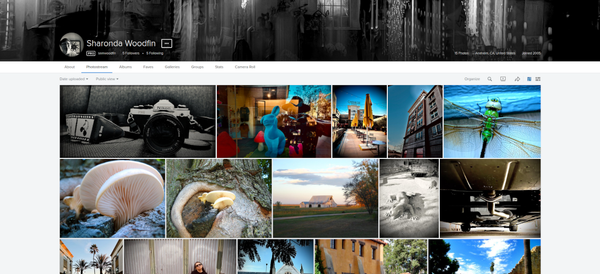 A screensot of my Flickr photostream.